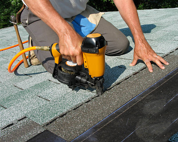 Best Roof Gutter Cleaning  in Oneida, TN