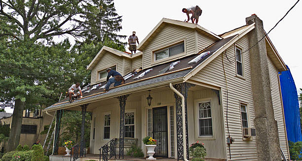 Best Flat Roof Repair Services  in Oneida, TN